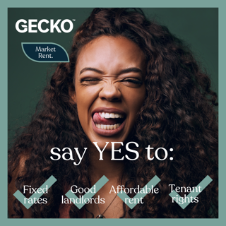 Gecko Marketrentcampaign 1080X1080 Additionalimages 5